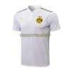 BVB Borussia Dortmund Trainings Poloshirt 2022-23 Weiße Für Herren